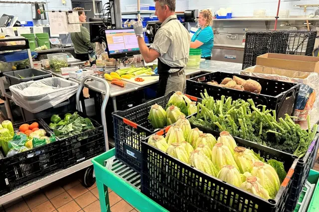 Crates of fresh produce being sorted in a zoo commissary
