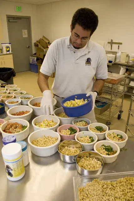 A keeper preparing rows of diet bowls in a zoo kitchen